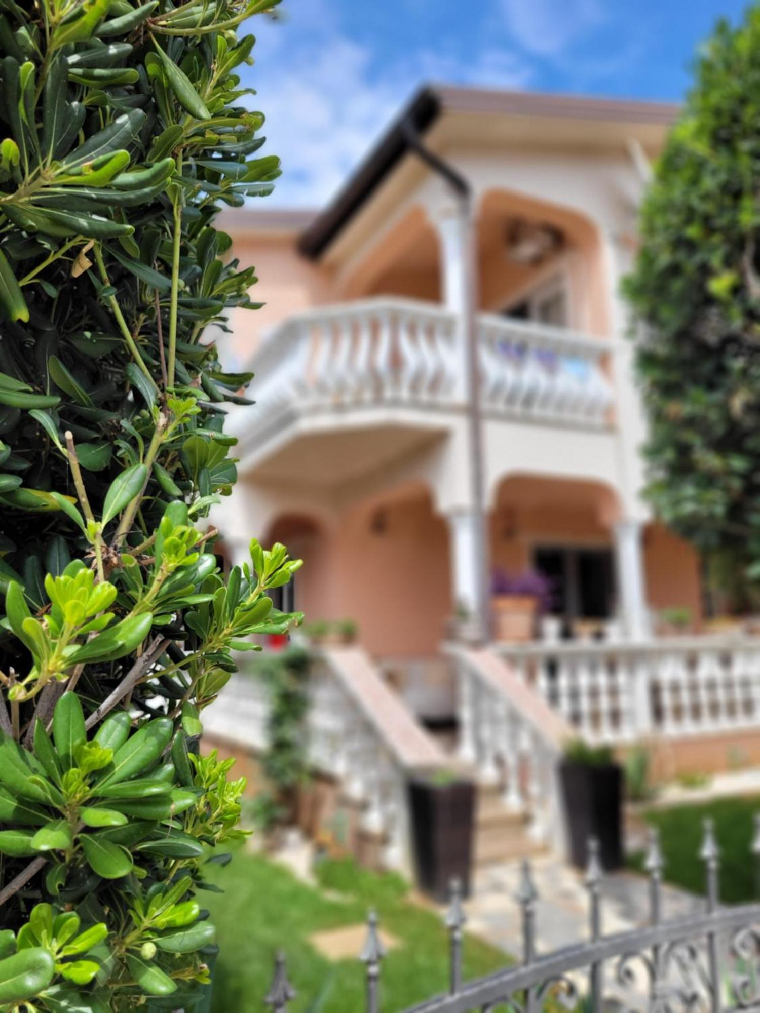 Apartment Jelena Vir Exterior foto
